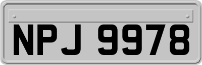 NPJ9978