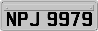 NPJ9979