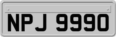 NPJ9990