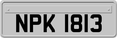 NPK1813