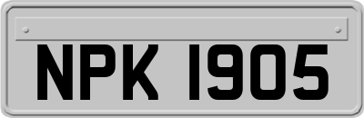NPK1905