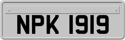 NPK1919