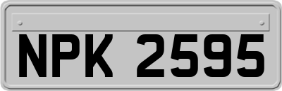 NPK2595