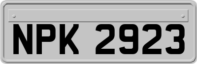 NPK2923