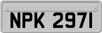 NPK2971