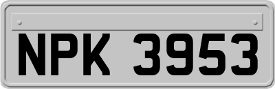NPK3953