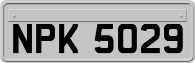 NPK5029