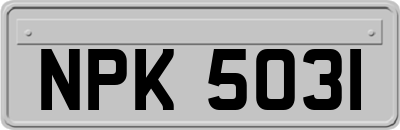 NPK5031