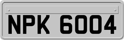 NPK6004