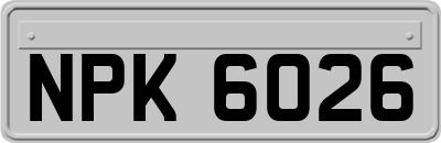 NPK6026