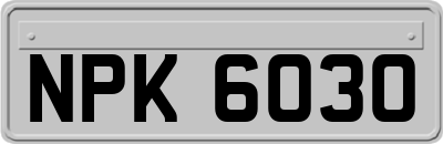 NPK6030