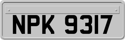 NPK9317