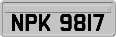 NPK9817