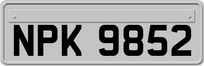 NPK9852