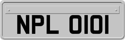 NPL0101