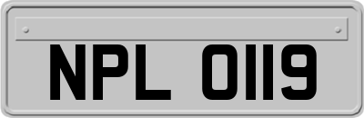 NPL0119