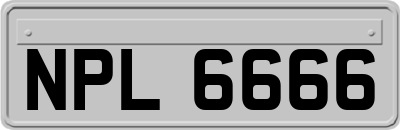 NPL6666