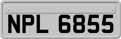 NPL6855