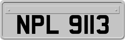 NPL9113