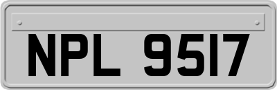 NPL9517