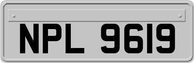 NPL9619