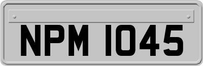 NPM1045