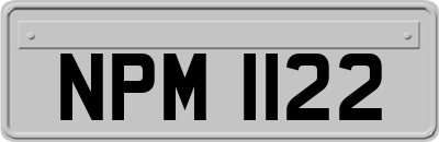 NPM1122