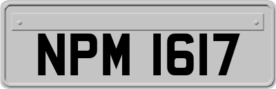NPM1617