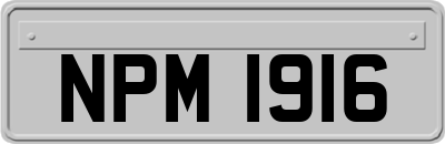 NPM1916