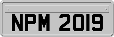 NPM2019