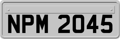 NPM2045