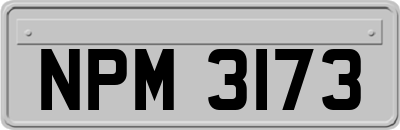 NPM3173