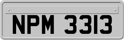 NPM3313