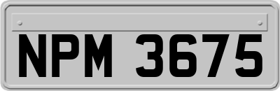 NPM3675