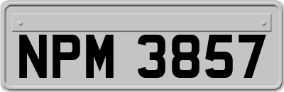 NPM3857