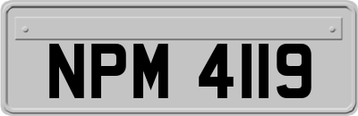 NPM4119