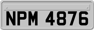NPM4876