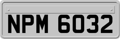 NPM6032