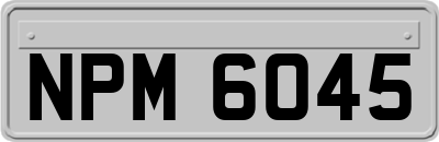 NPM6045