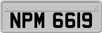 NPM6619