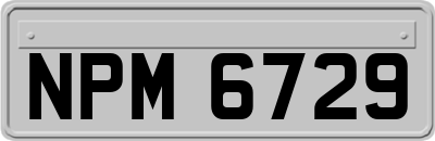NPM6729