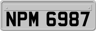 NPM6987