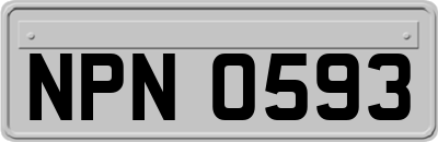 NPN0593