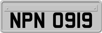 NPN0919