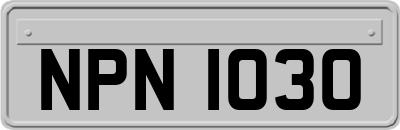 NPN1030