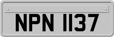 NPN1137