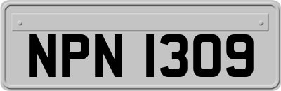 NPN1309