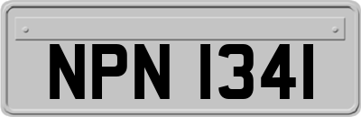 NPN1341