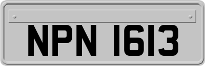 NPN1613