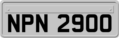 NPN2900